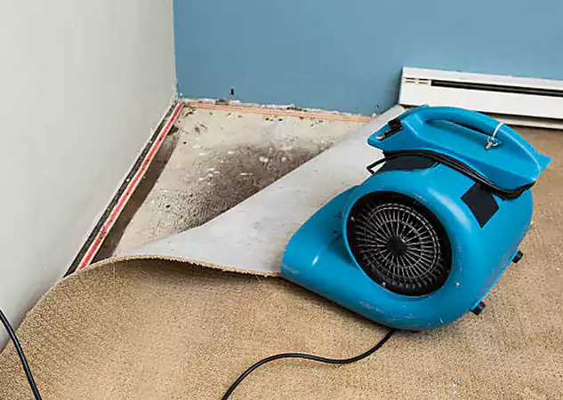 Your Water Damage Experts in Adairsville, GA