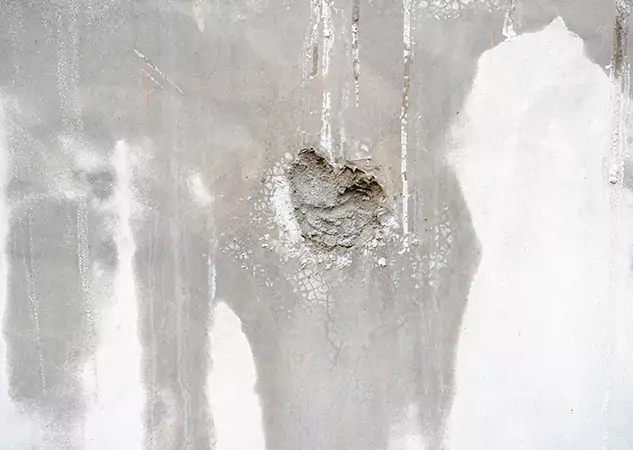 Your Mold Mitigation Solutions Partner in Adairsville, GA