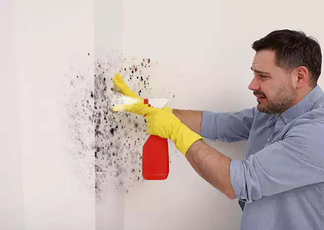 Your Water Mold Fire Restoration Partner in Adairsville, GA