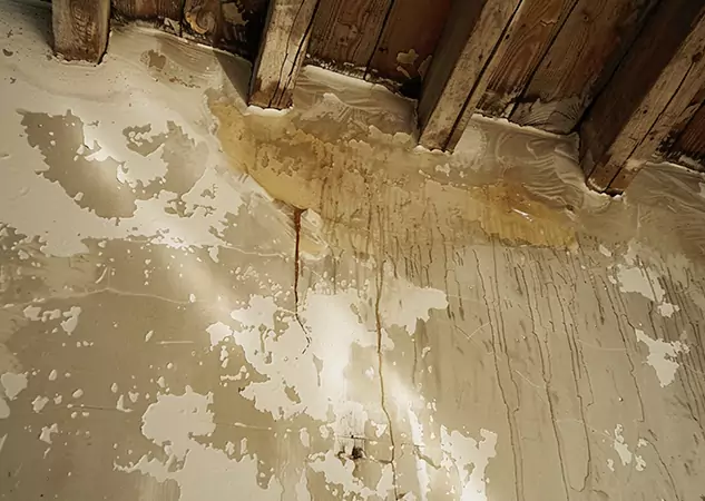 Your Trusted Restoration Company in Adairsville, GA