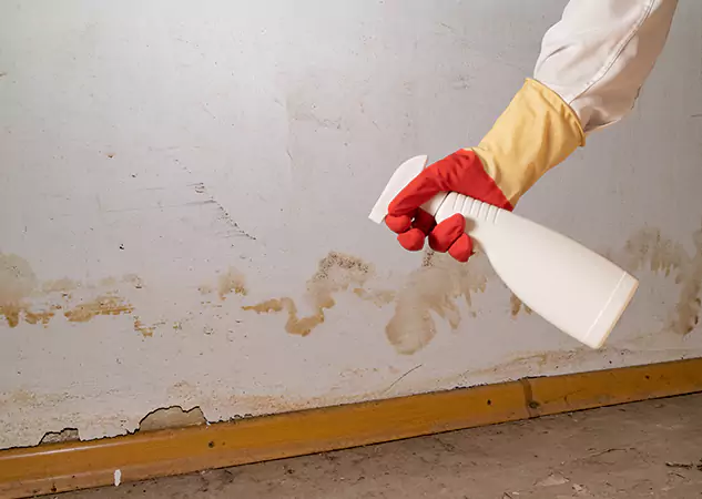 Your Water Restoration and Mold Remediation Specialists in Adairsville, GA