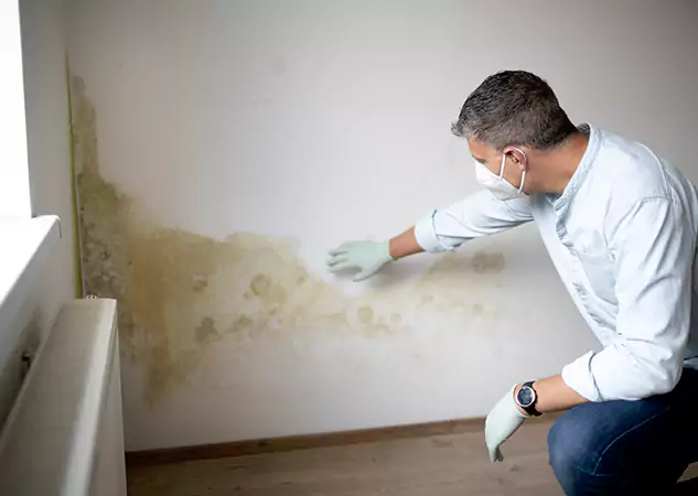Reach Our Remediation Team Before Damage Grows in Adairsville, GA!