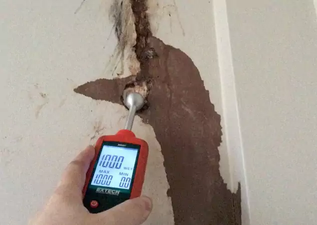 Your Water Damage Assessment Partner in Adairsville, GA
