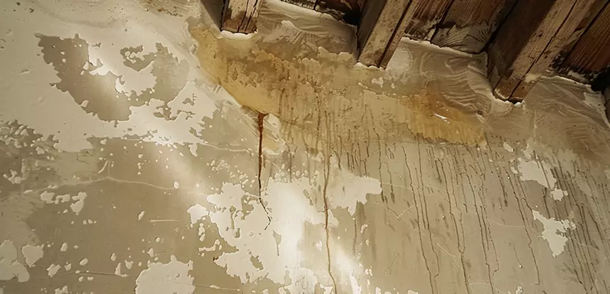 Professional Attic Water Damage Repair Services in Adairsville, GA
