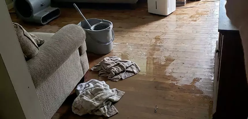 Professional Basement Water Remediation Services in Adairsville, GA