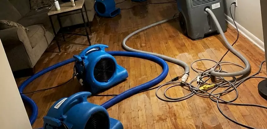 Basement Flood Restoration Services in Adairsville
