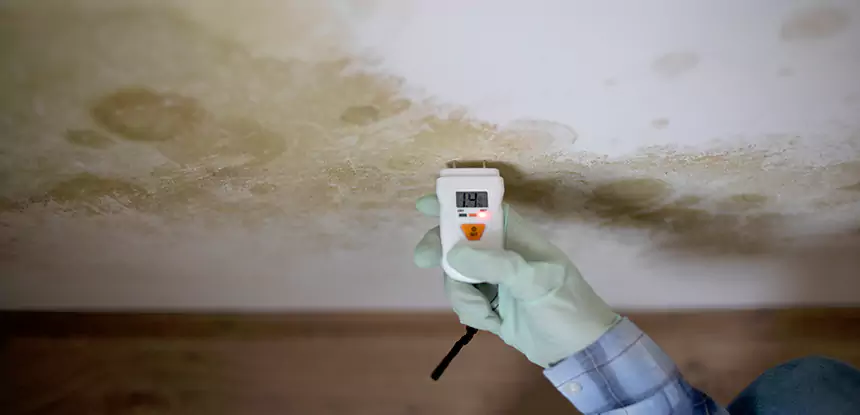 Emergency Mold Remediation in Adairsville