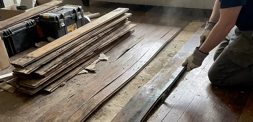 Wood Rot and Fungus Repair in Adairsville