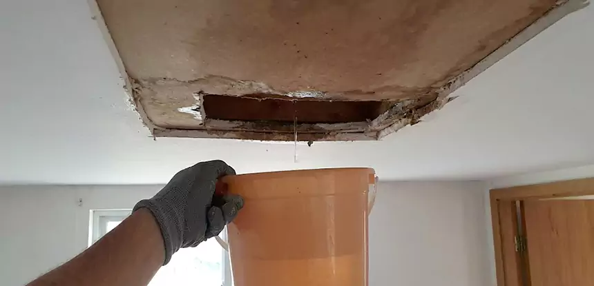Ceiling Mold Repair Adairsville 