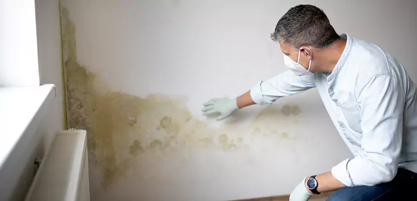 Mold and Water Damage Repair in Adairsville