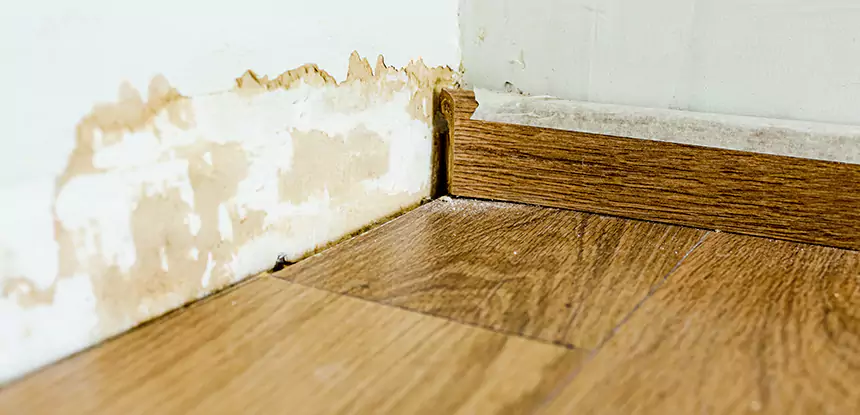 Professional Fix Water Damaged Wood Services in Adairsville, GA