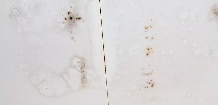 Professional Water Stain Repair Services in Adairsville, GA