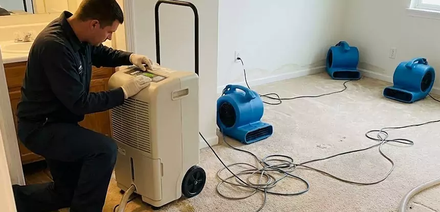 Professional Wet Carpet Removal Services in Adairsville, GA