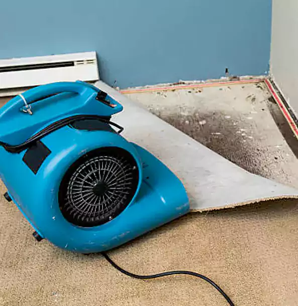 Why Adairsville Trusts Adairsville Restoration Pro for Carpet Flood Recovery?