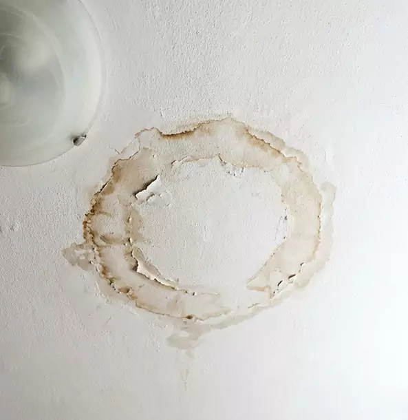 Why Adairsville Property Owners Choose Adairsville Restoration Pro for Ceiling Water Damage Restoration?