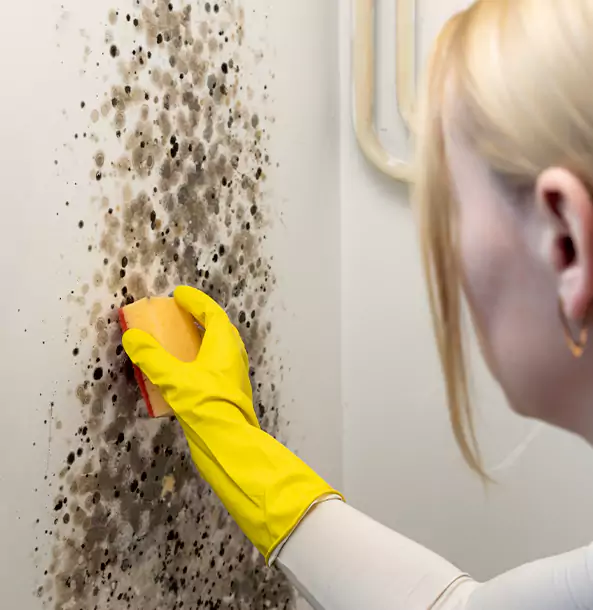 Why Adairsville Restoration Pro Leads Mold Remediation in Adairsville?