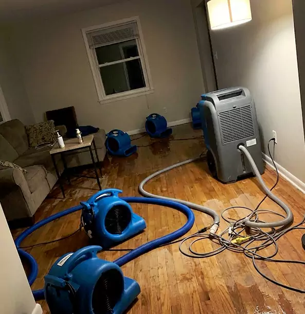 Why Adairsville Property Owners Rely on Adairsville Restoration Pro for Remediation?