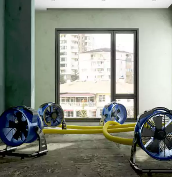 Why Adairsville Property Owners Trust Adairsville Restoration Pro for Water Damage Drying?
