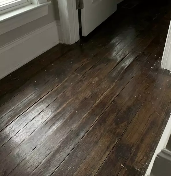 Why Adairsville Homeowners Trust Adairsville Restoration Pro to Fix Water Damaged Wood?