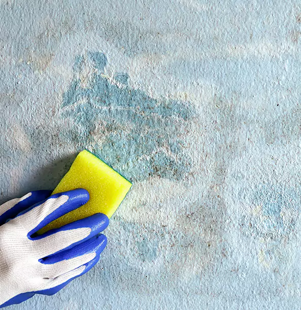 Why Adairsville Restoration Pro Is the Right Choice in Adairsville, GA?