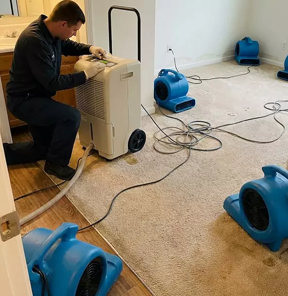 Why Adairsville Homeowners and Businesses Trust Adairsville Restoration Pro for Carpet Drying?