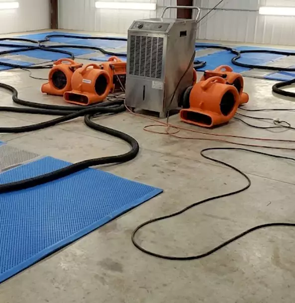 Why Adairsville Homeowners and Businesses Choose Adairsville Restoration Pro for Wet Carpet Removal?