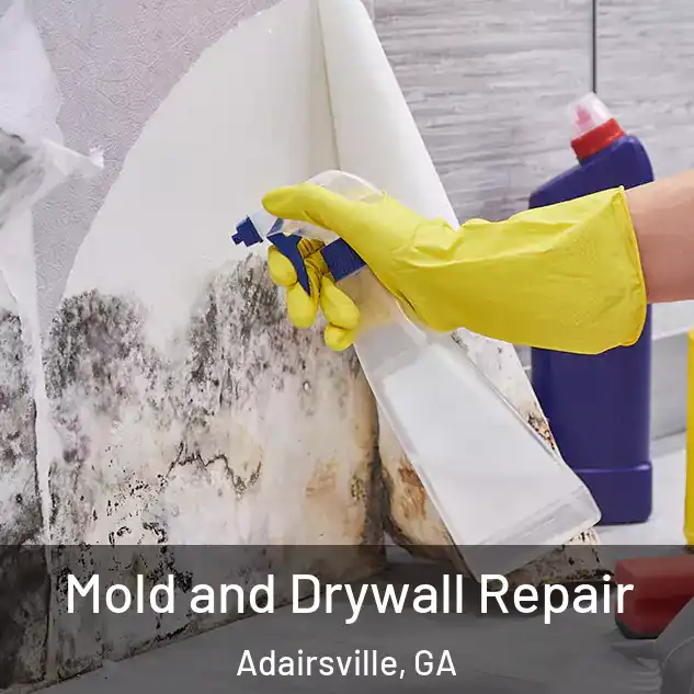  Mold and Drywall Repair Adairsville, GA