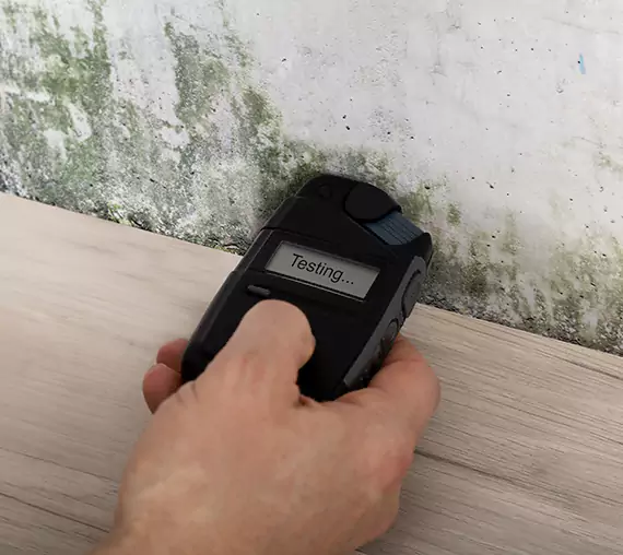 Mold Remediation Service Adairsville