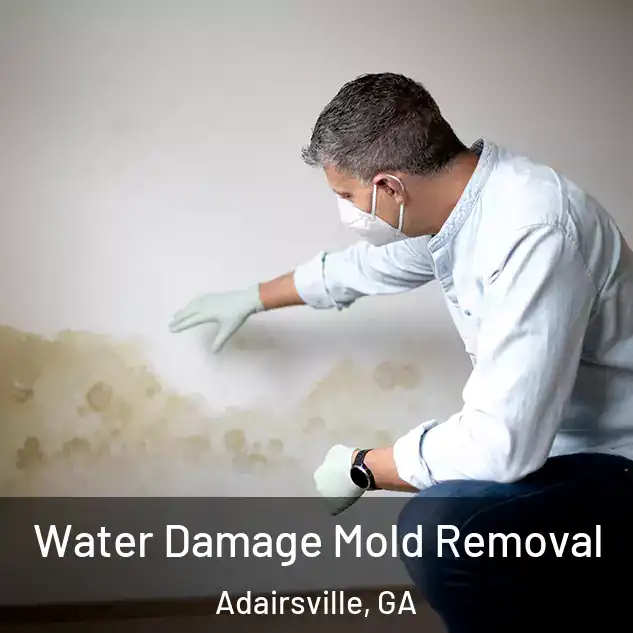  Water Damage Mold Removal Adairsville, GA