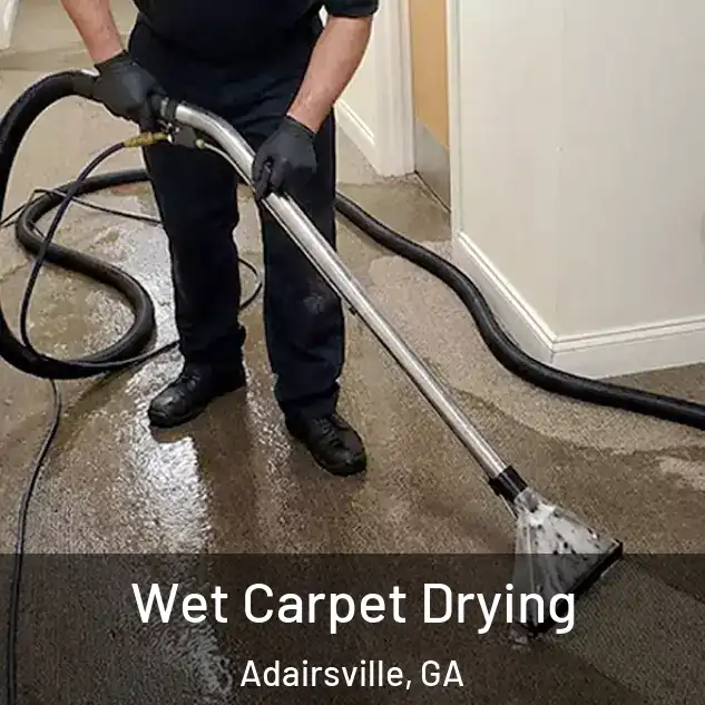  Wet Carpet Drying Adairsville, GA